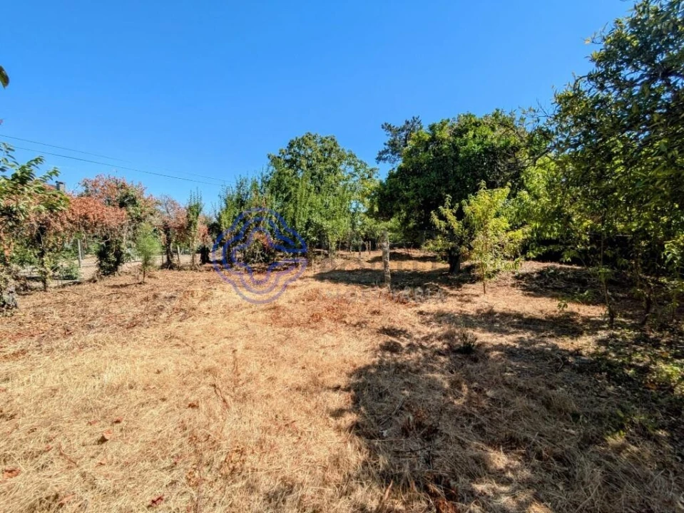 Moradia T5 para Venda em Silgueiros Foto 56