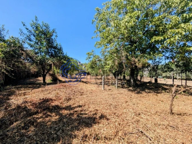 Moradia T5 para Venda em Silgueiros Foto 58