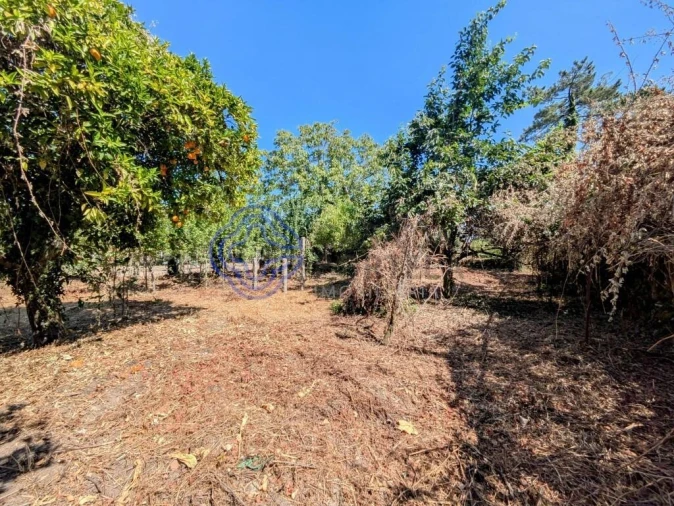 Moradia T5 para Venda em Silgueiros Foto 60