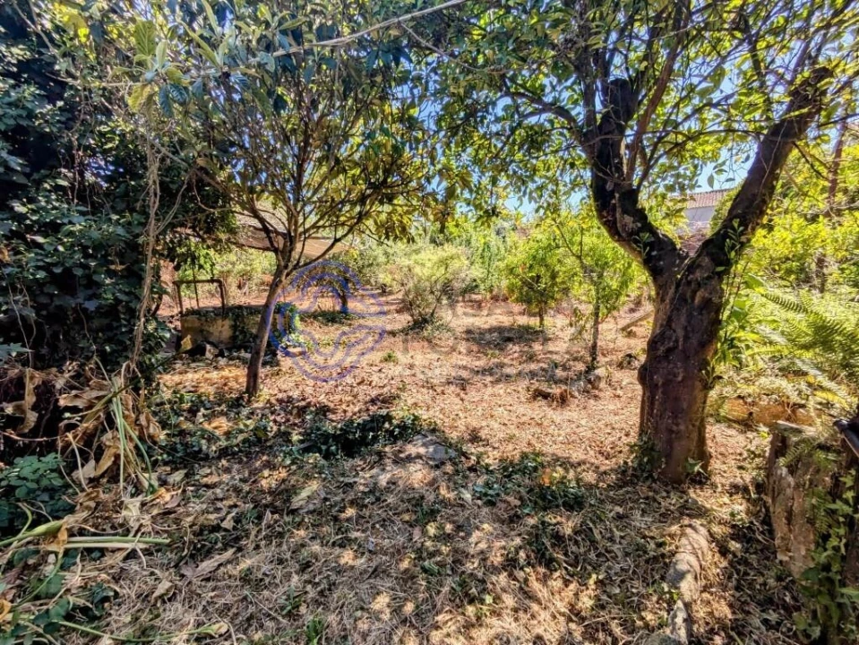 Moradia T5 para Venda em Silgueiros Foto 66