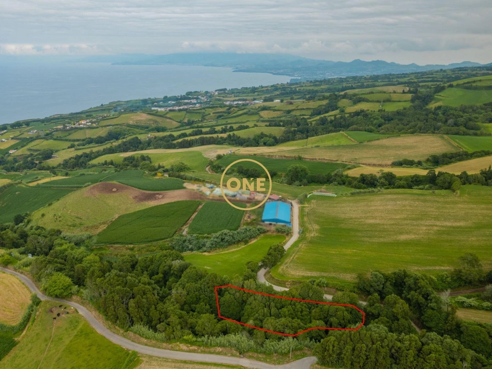 Terreno para Venda em Remedios Foto 4