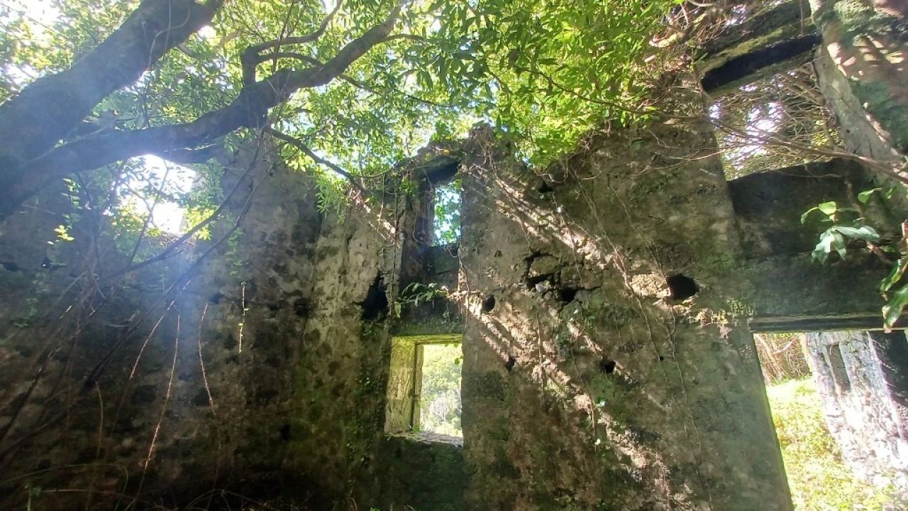 Terreno para Venda em Urzelina (São Mateus) Foto 9