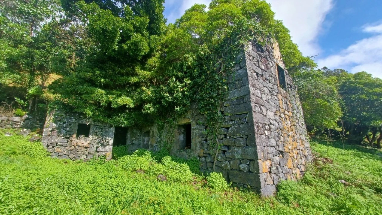Terreno para Venda em Urzelina (São Mateus) Foto 3