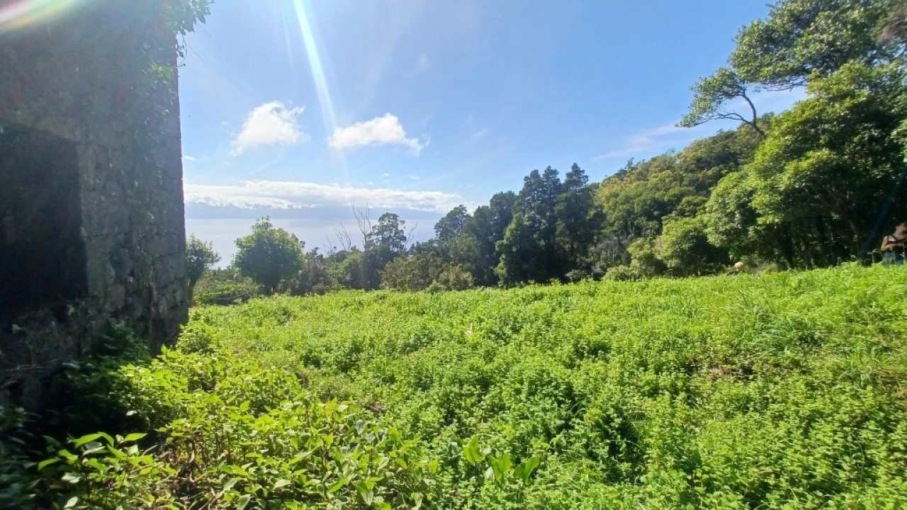 Terreno para Venda em Urzelina (São Mateus) Foto 10