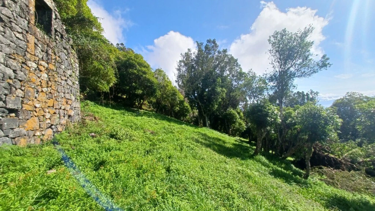 Terreno para Venda em Urzelina (São Mateus) Foto 11