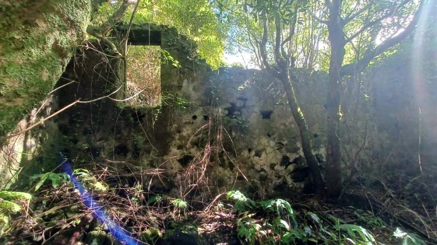 Terreno para Venda em Urzelina (São Mateus) Foto 8