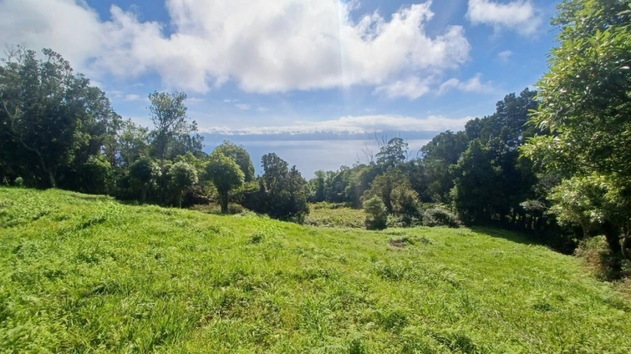 Terreno para Venda em Urzelina (São Mateus) Foto 4