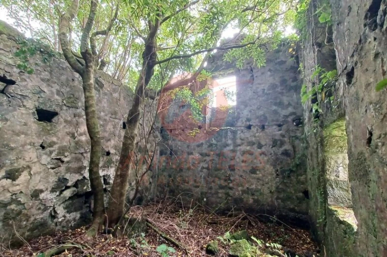 Terreno para Venda em Urzelina (São Mateus) Foto 7
