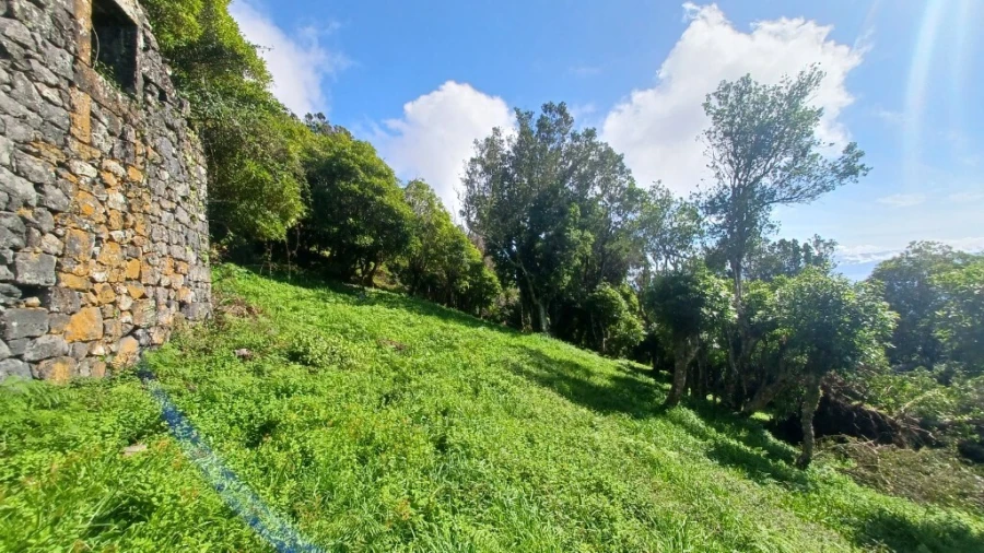 Terreno para Venda em Urzelina (São Mateus) Foto 11