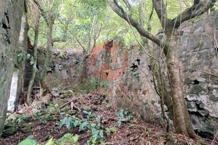 Terreno para Venda em Urzelina (São Mateus) Foto 6