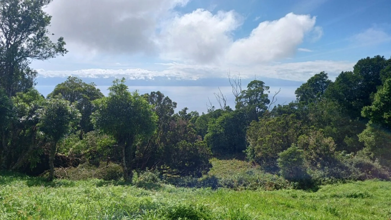 Terreno para Venda em Urzelina (São Mateus) Foto 13