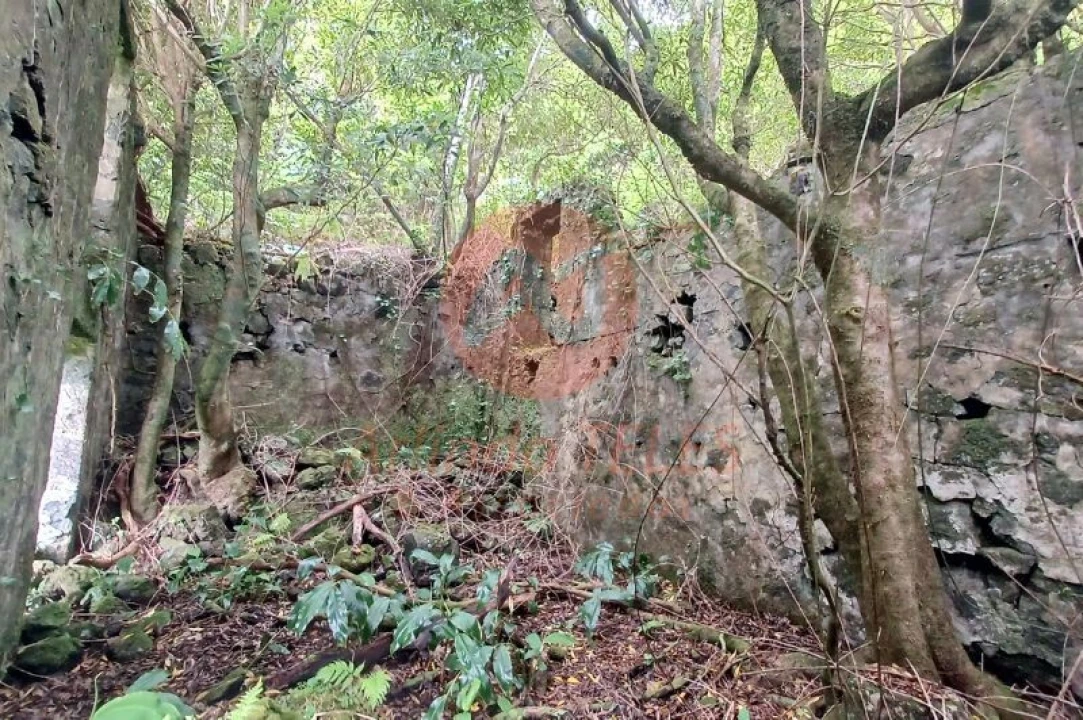 Terreno para Venda em Urzelina (São Mateus) Foto 6