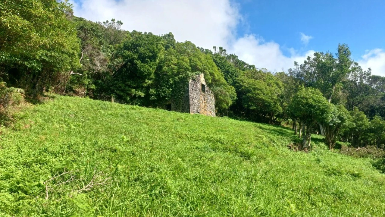 Terreno para Venda em Urzelina (São Mateus) Foto 12