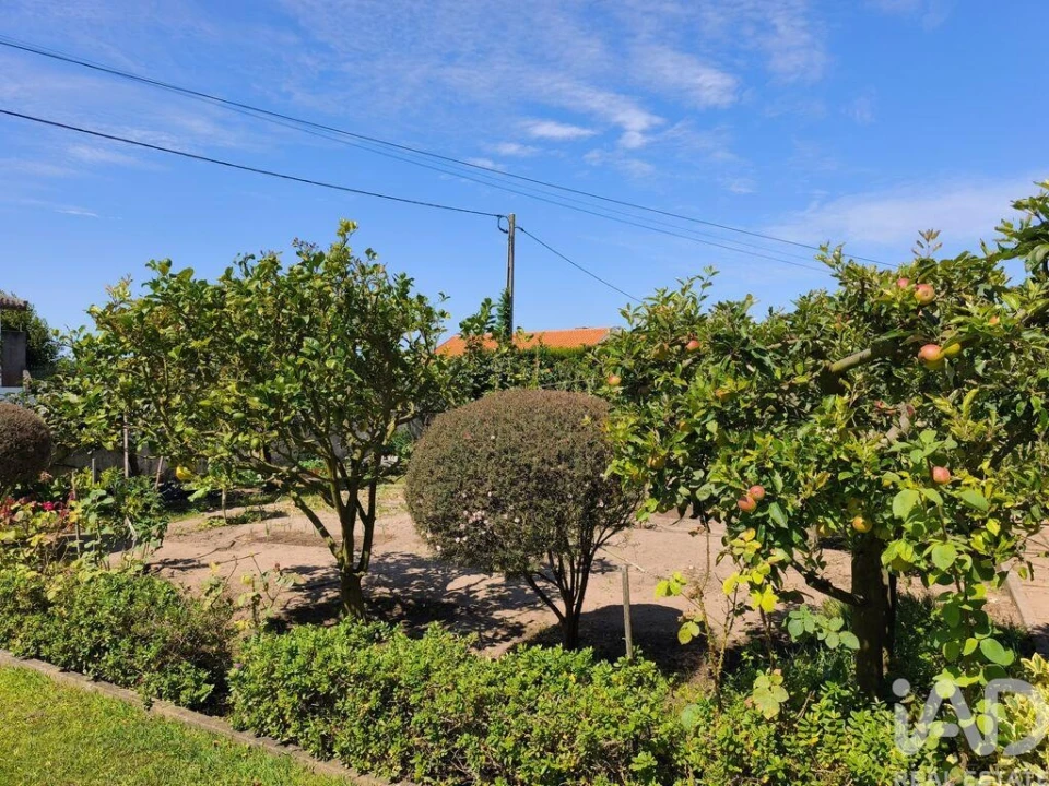 Moradia T3 para Venda em Torreira Foto 27