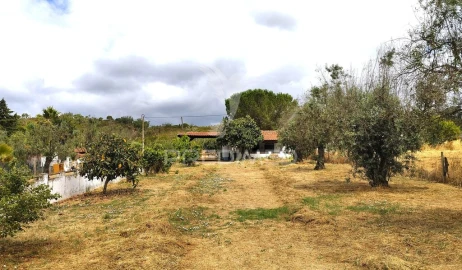 Quinta T4 para Venda em Reliquias