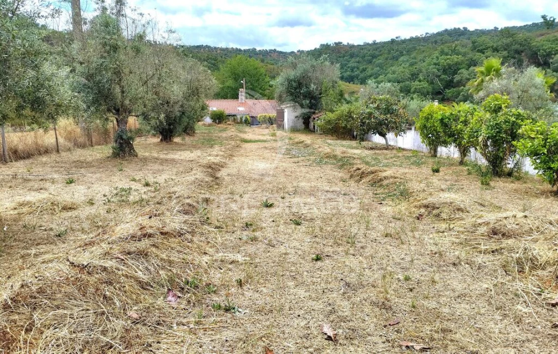Quinta T4 para Venda em Reliquias Foto 10