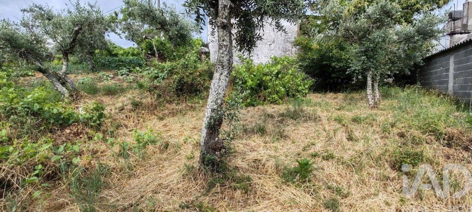 Moradia T2 para Venda em Troviscal Foto 25