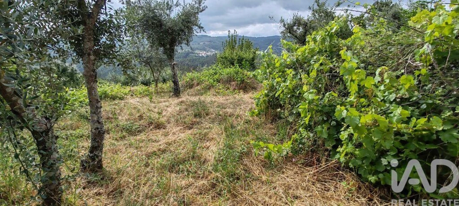 Moradia T2 para Venda em Troviscal Foto 26