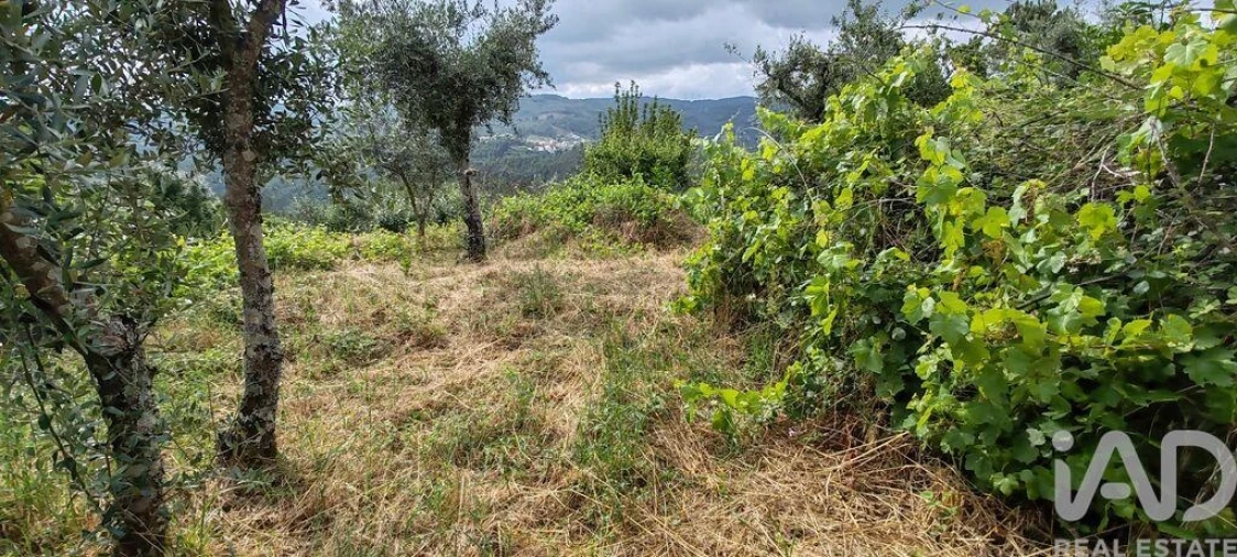 Moradia T2 para Venda em Troviscal Foto 26