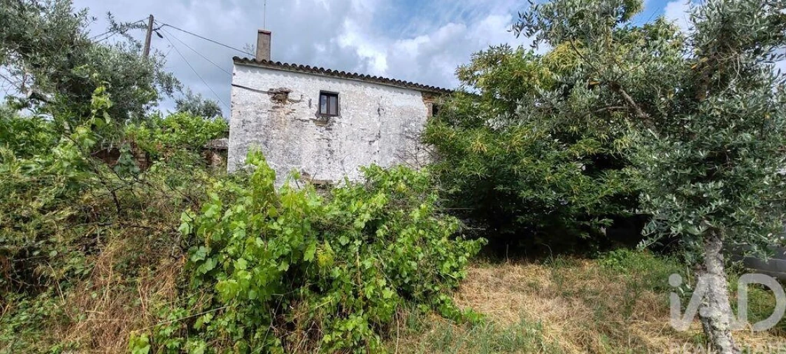 Moradia T2 para Venda em Troviscal Foto 27