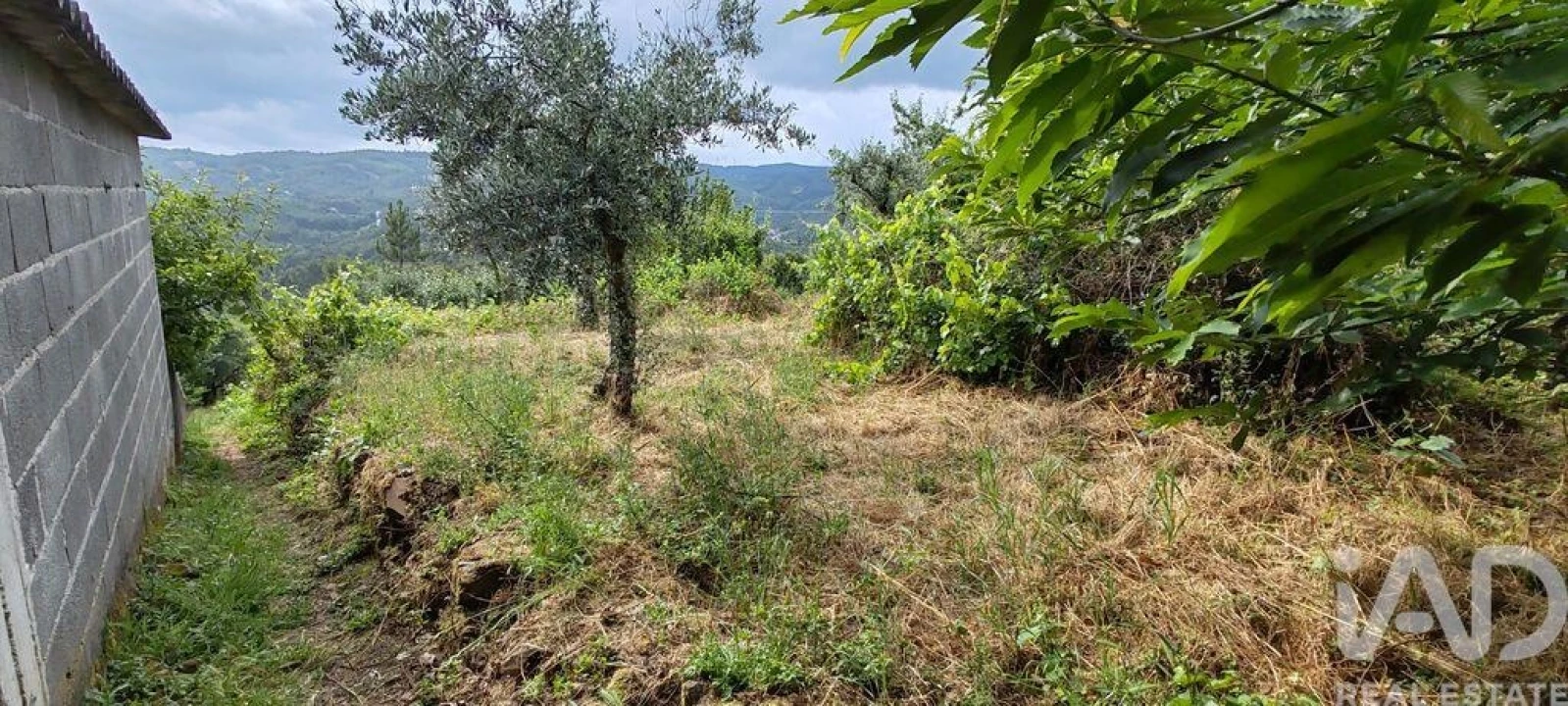 Moradia T2 para Venda em Troviscal Foto 24