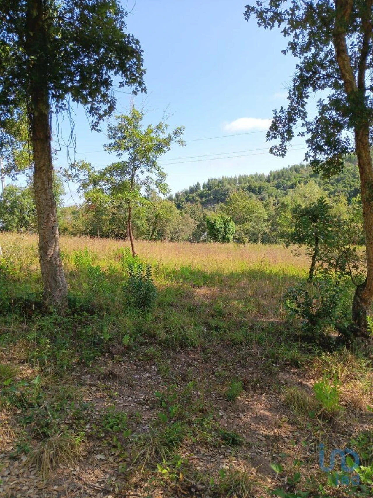 Terreno para Venda em Aljubarrota Foto 9