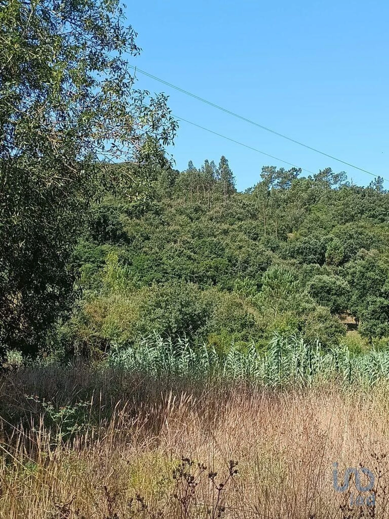 Terreno para Venda em Aljubarrota Foto 8
