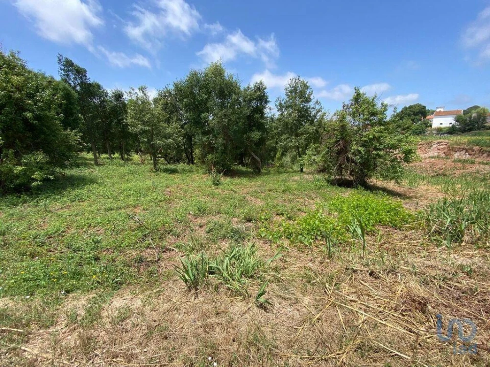 Terreno para Venda em Cadaval e Pêro Moniz Foto 7