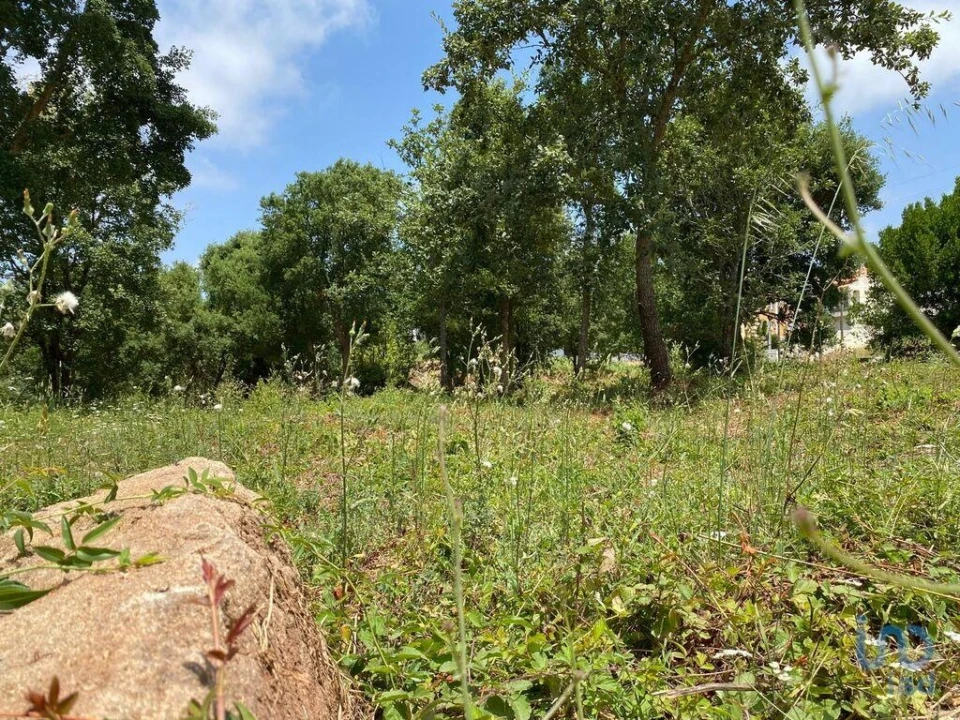 Terreno para Venda em Cadaval e Pêro Moniz Foto 8