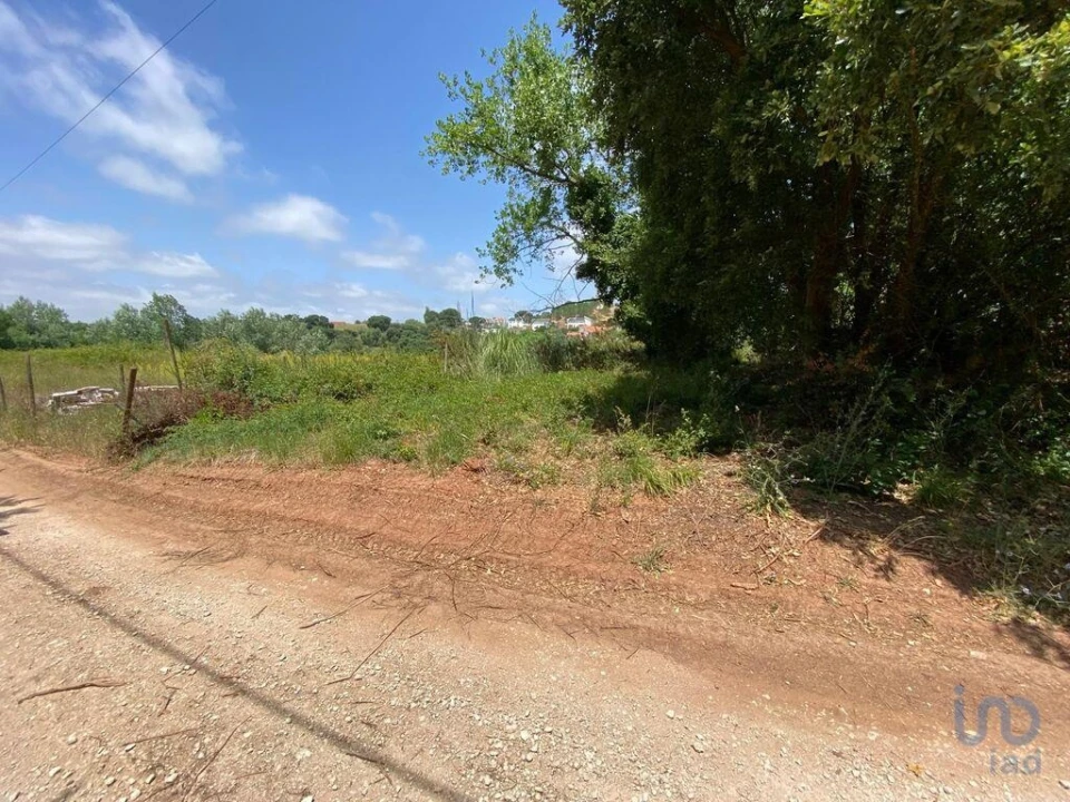 Terreno para Venda em Cadaval e Pêro Moniz Foto 3