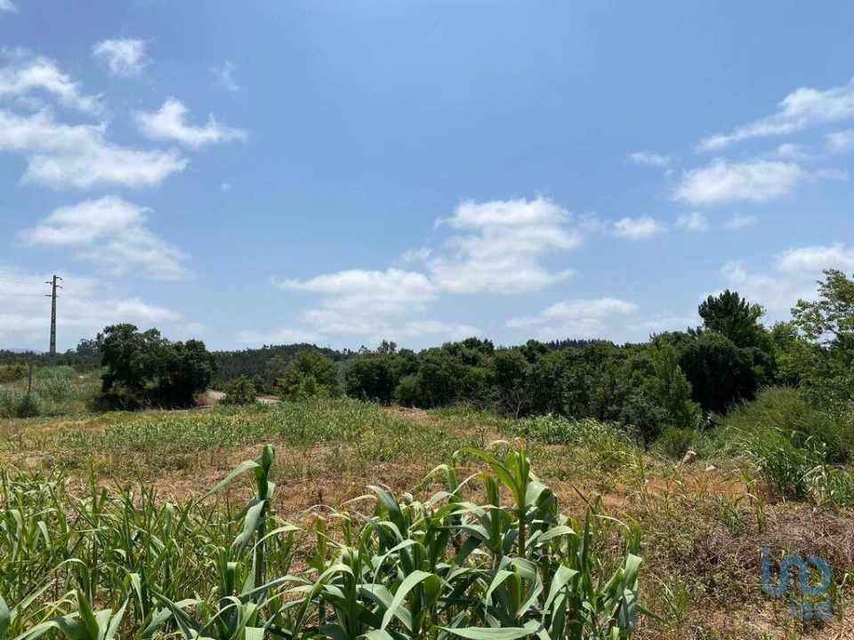 Terreno para Venda em Cadaval e Pêro Moniz Foto 6