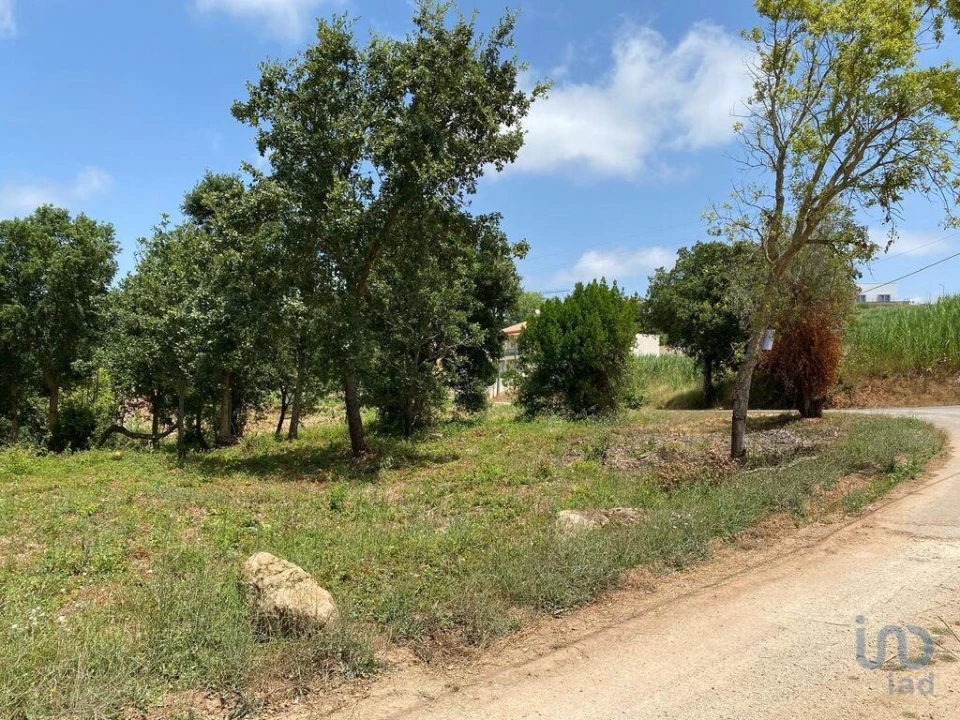 Terreno para Venda em Cadaval e Pêro Moniz Foto 10
