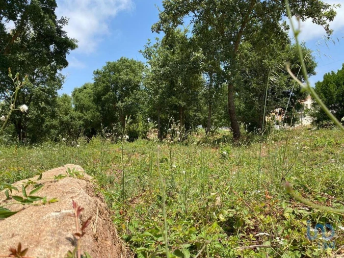 Terreno para Venda em Cadaval e Pêro Moniz Foto 8