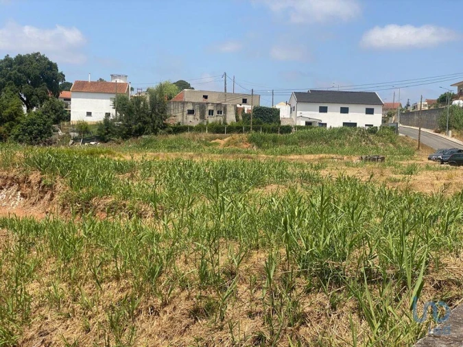 Terreno para Venda em Cadaval e Pêro Moniz Foto 5