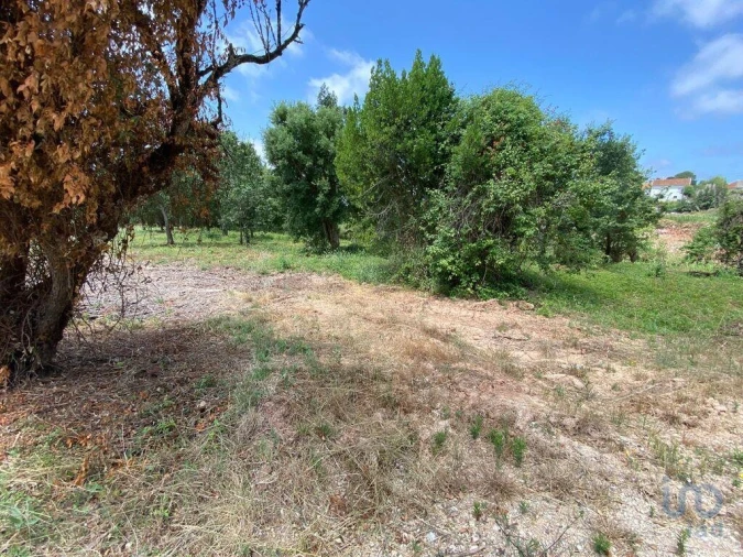 Terreno para Venda em Cadaval e Pêro Moniz Foto 9