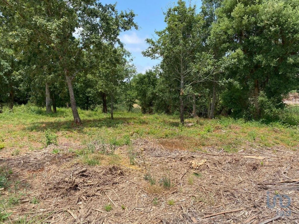 Terreno para Venda em Cadaval e Pêro Moniz Foto 11