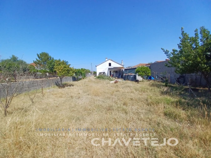 Moradia T3 para Venda em Paialvo Foto 39