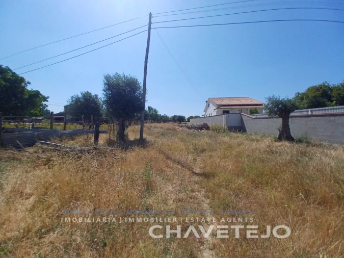 Moradia T3 para Venda em Paialvo Foto 40