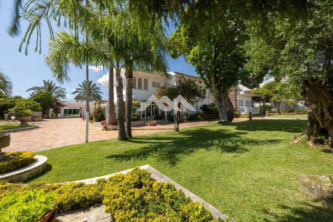 Quinta T4 para Venda em Nogueira e Silva Escura Foto 15