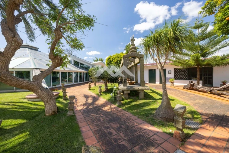 Quinta T4 para Venda em Nogueira e Silva Escura Foto 50