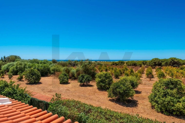 Moradia T3 para Venda em Altura Foto 59