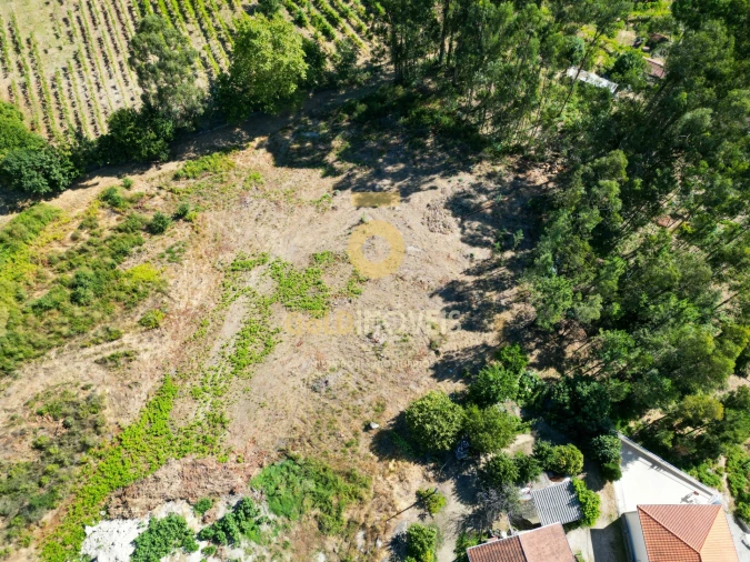 Terreno para Venda em Recezinhos (São Mamede) Foto 6