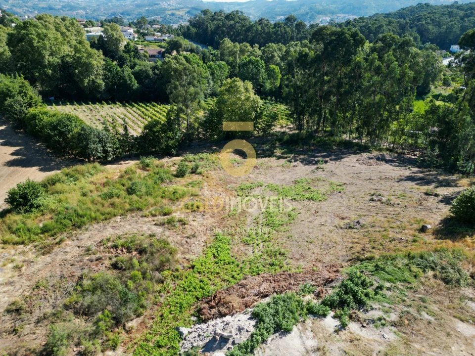 Terreno para Venda em Recezinhos (São Mamede) Foto 3