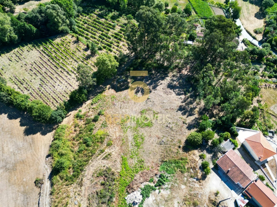 Terreno para Venda em Recezinhos (São Mamede) Foto 2