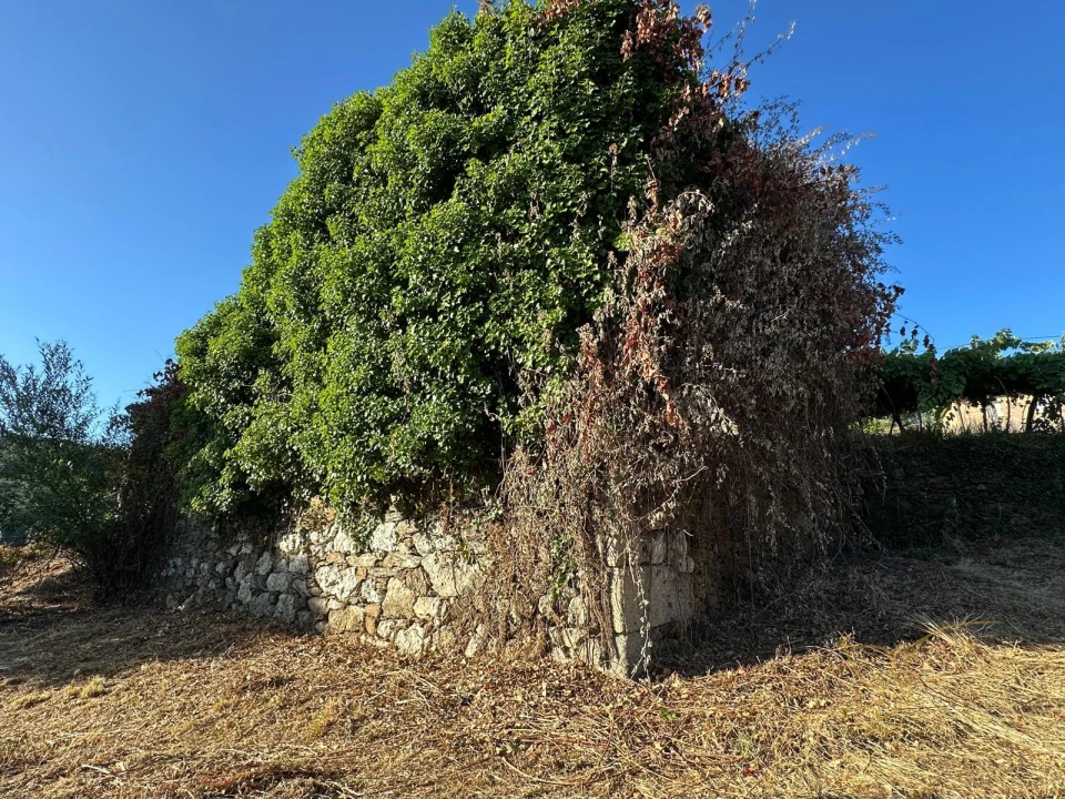 Moradia T0 para Venda em Riba de Mouro Foto 4