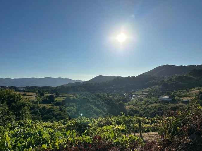 Moradia T0 para Venda em Riba de Mouro Foto 10