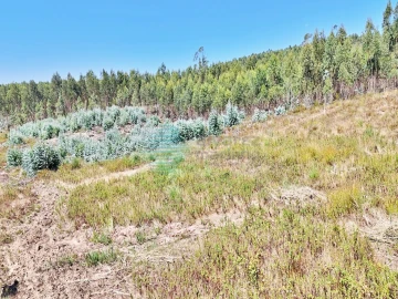 Terreno para Venda em Campelos e Outeiro da Cabeça