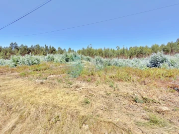 Terreno para Venda em Campelos e Outeiro da Cabeça