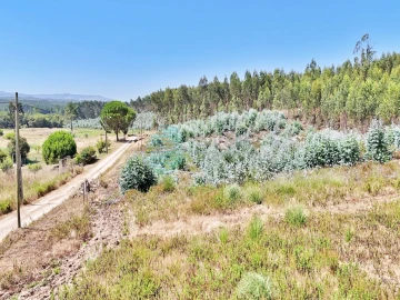 Terreno para Venda em Campelos e Outeiro da Cabeça