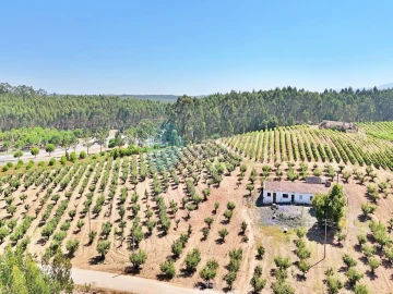 Terreno para Venda em Campelos e Outeiro da Cabeça